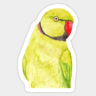 yellow Rose-ringed parakeet or ring-necked parrots watercolor - bird painting Sticker